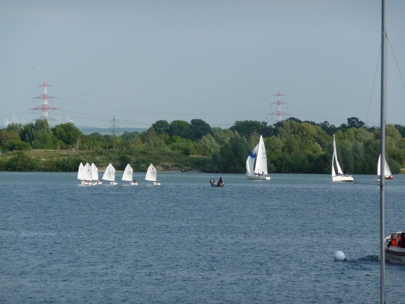 Känguru Regatta 031